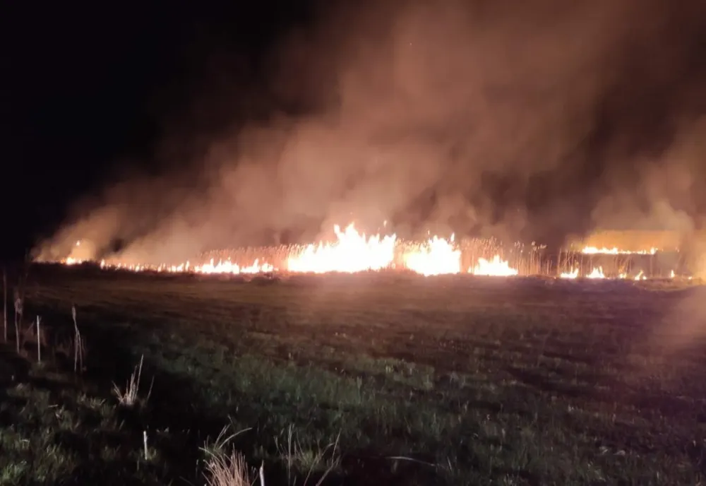 FOTO- Incendiu vegetație uscată