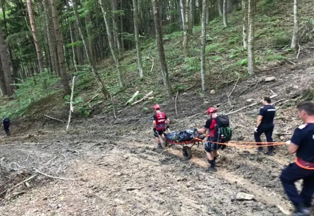 Și-a găsit sfârșitul strivit de copacul pe care l-a tăiat (FOTO)