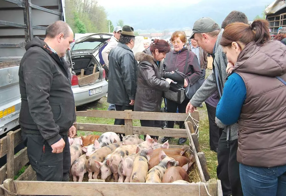 Amenzi de peste 6.000 de lei aplicate de polițiști în târgurile de animale