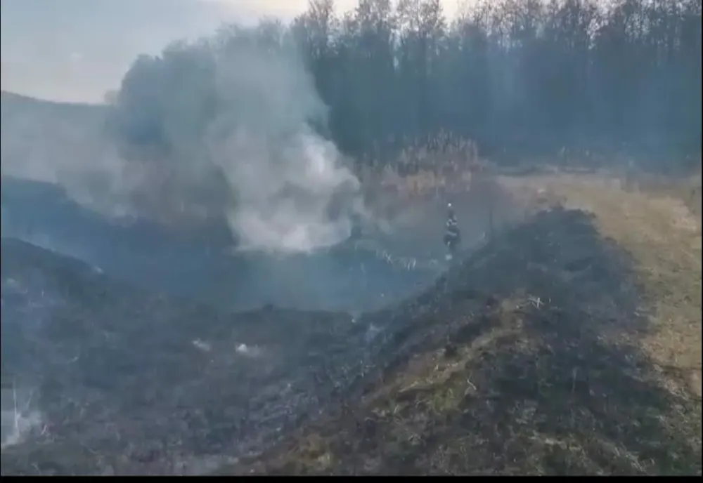 Incendiu de vegetație la Gâdinți