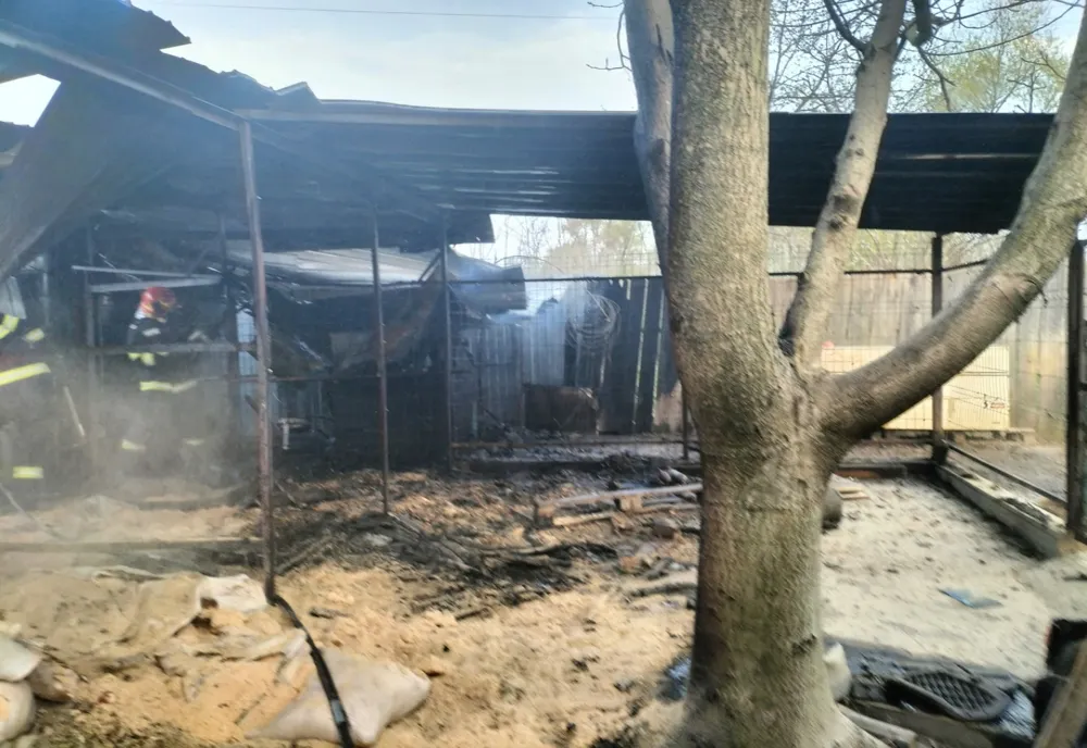 Incendiu la un atelier de tâmplarie în prima zi de Paște