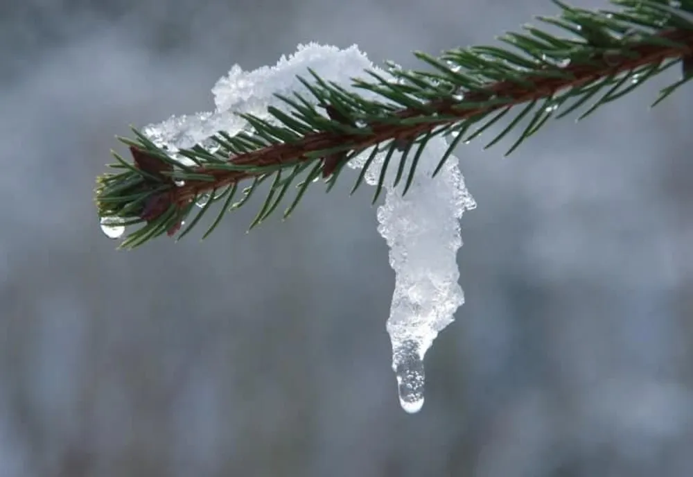 ANM: PROGNOZA METEO PÂNĂ PE 17 FEBRUARIE