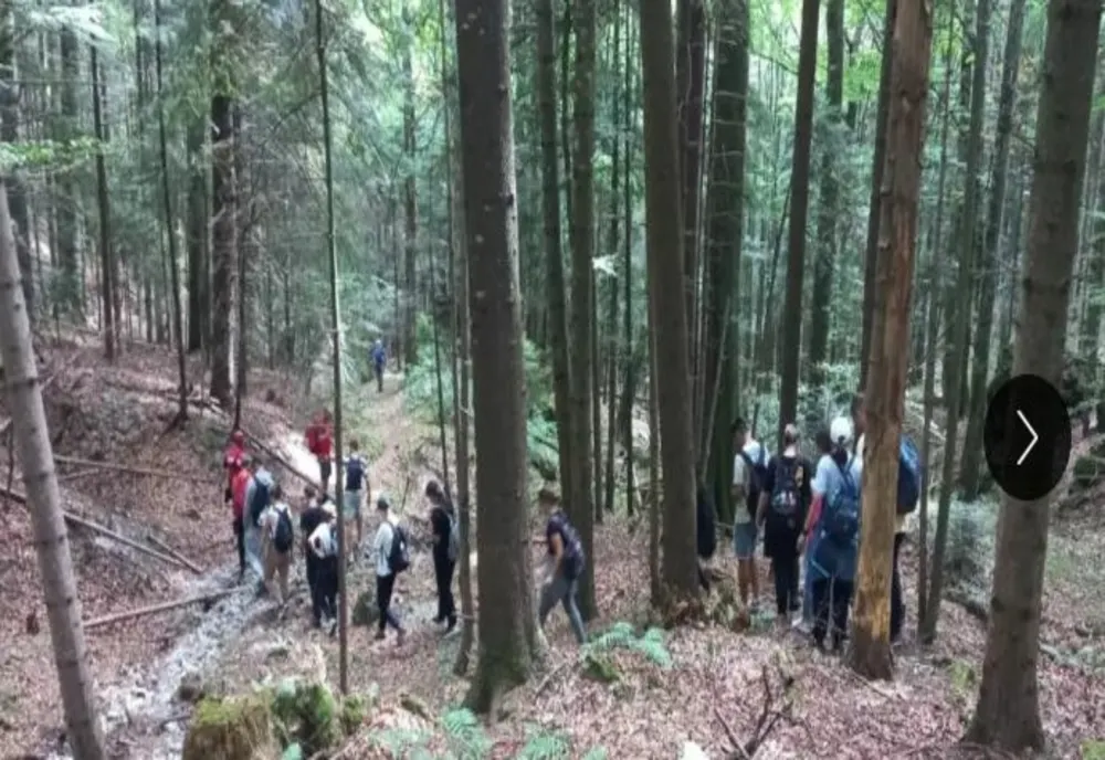 Grup de copii, rătăcit pe munte, cu tot cu ghid! Intervenție de urgență a salvamontiștilor pentru recuperarea lor