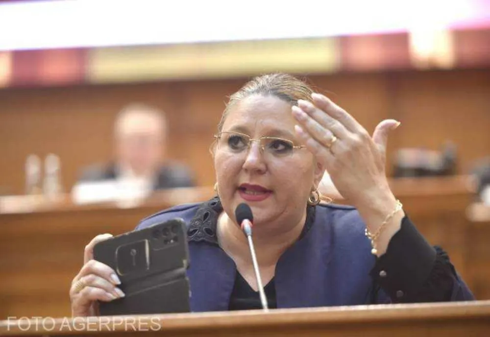 DOCUMENTUL CCR ÎN CAZUL RESPINGERII CANDIDATURII DIANEI ȘOȘOACĂ