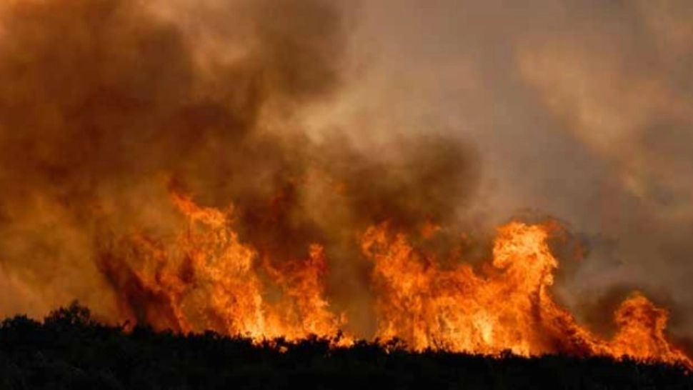 NEAMȚ: Intervenții pentru stingerea a 4 incendii de vegetație, în ultimele 24 de ore