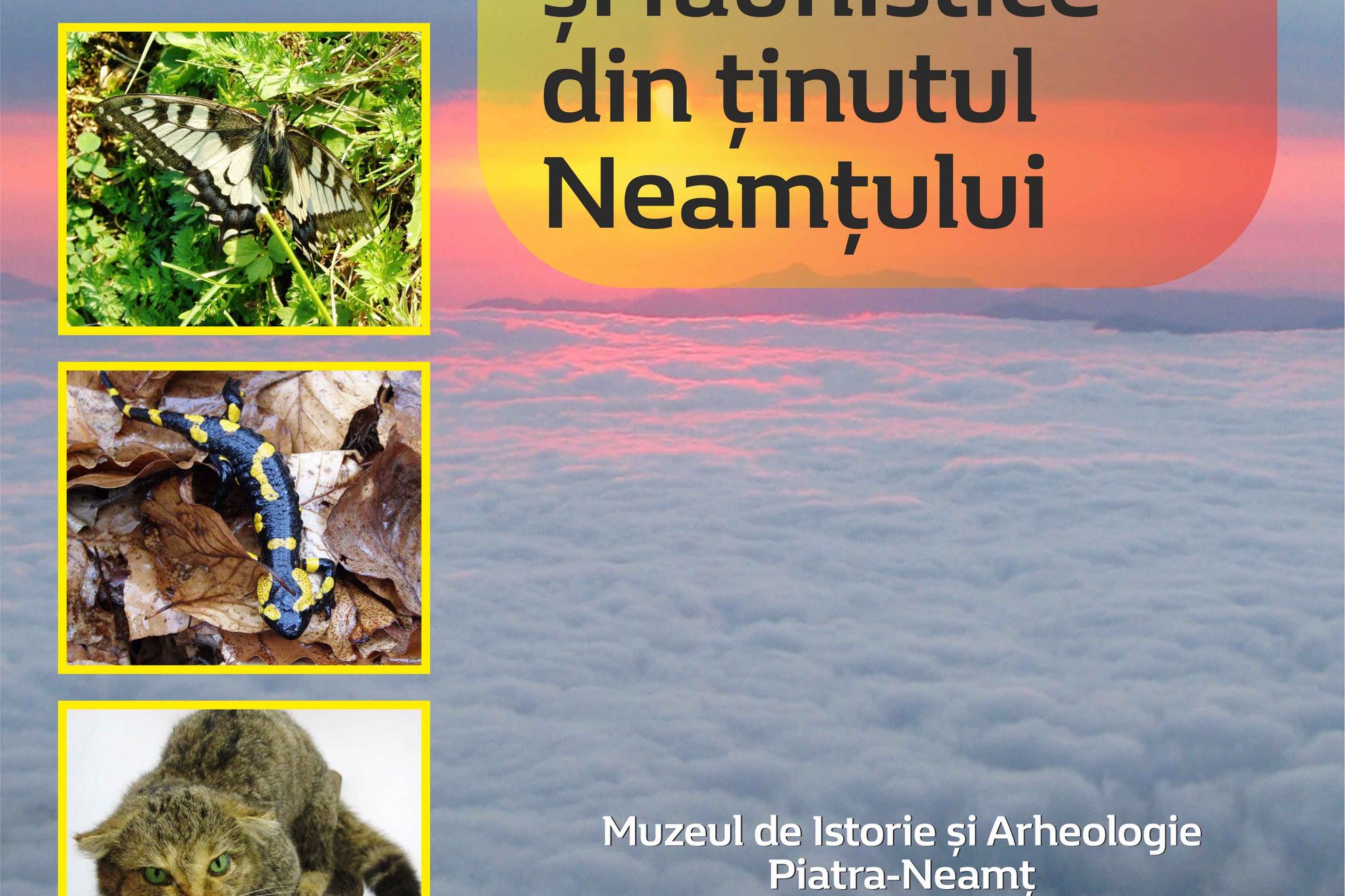 Expo - Animale Rare