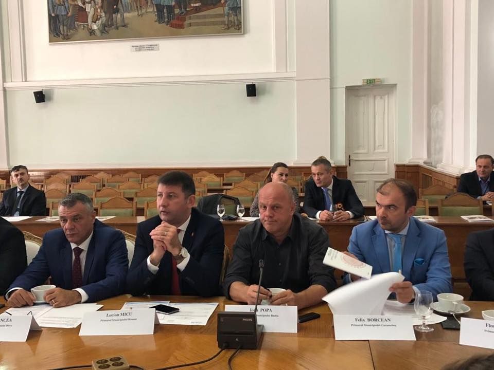 lucian micu predictibilitate bugetara