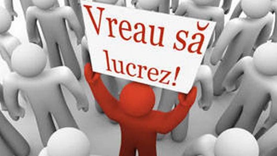 locuri de munca