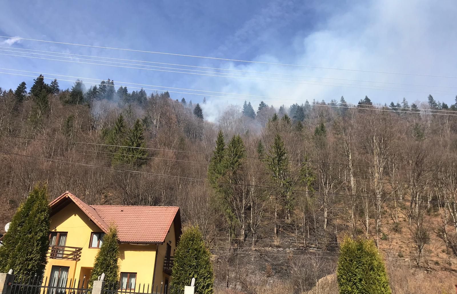 incendiul de la Izvorul Muntelui (4)