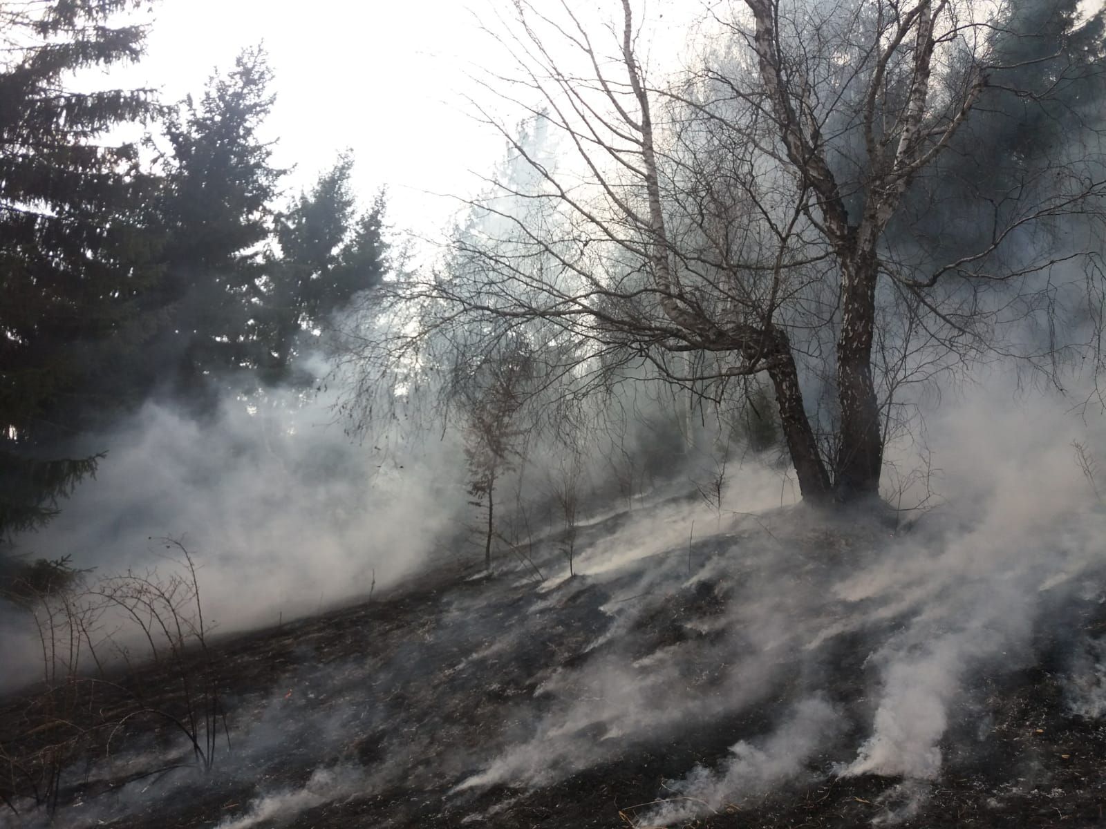 Ceahlau 2 incendiu