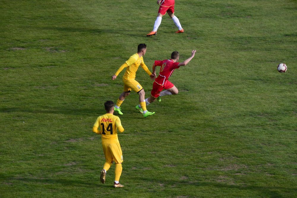 Șomuz Fălticeni