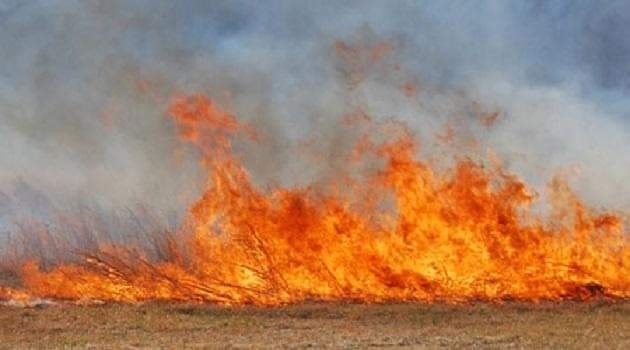 incendiilor de vegetatie uscata