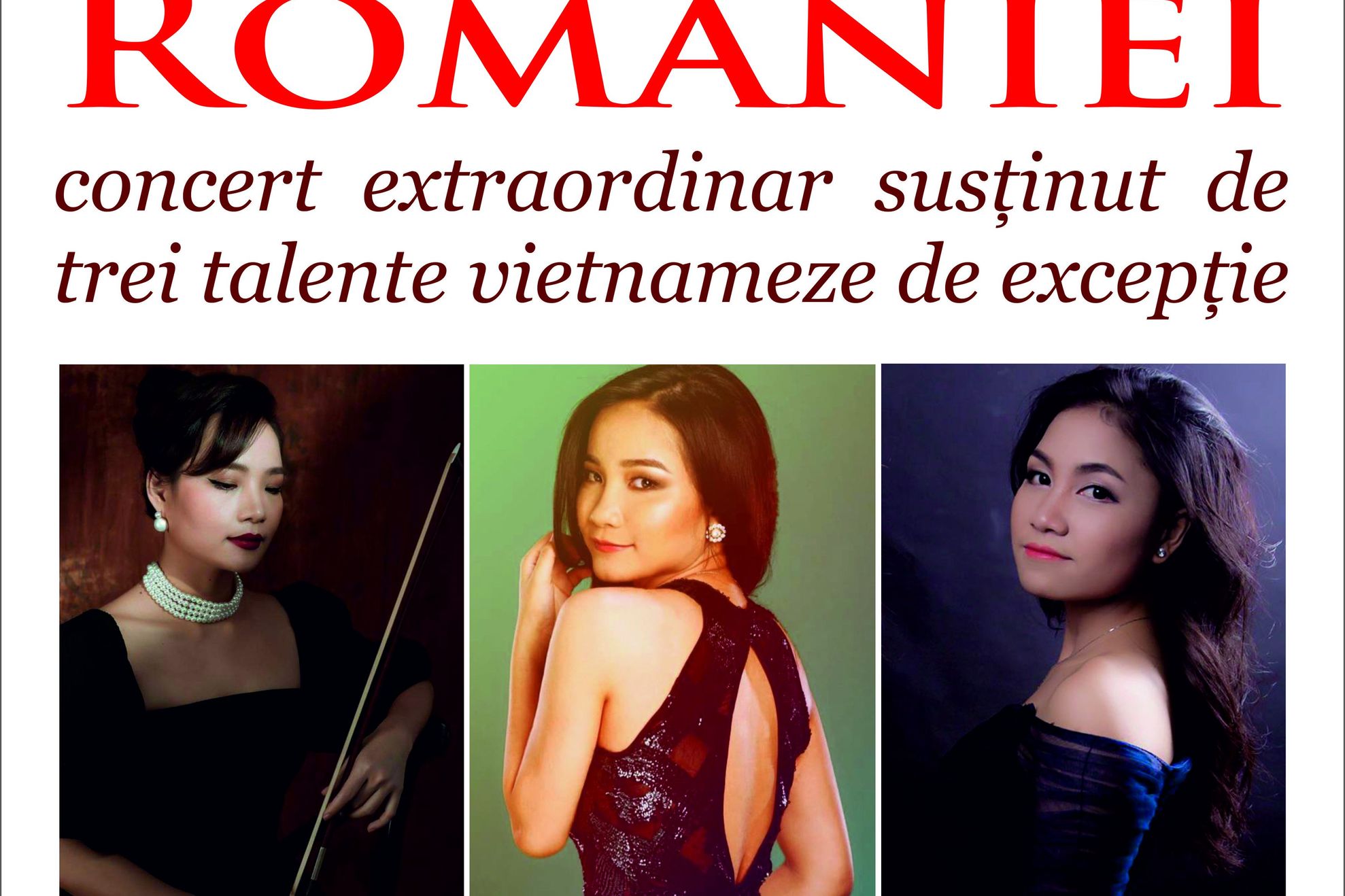 Afis concert Vietnam cmyk
