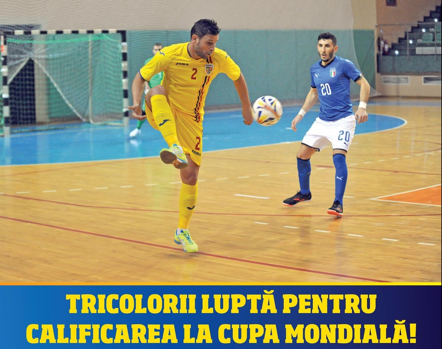gazdă futsal