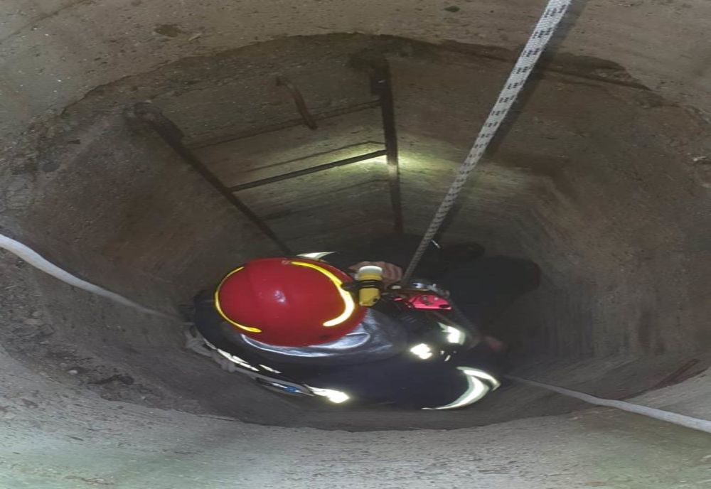 Câine căzut în fântână de 12 metri