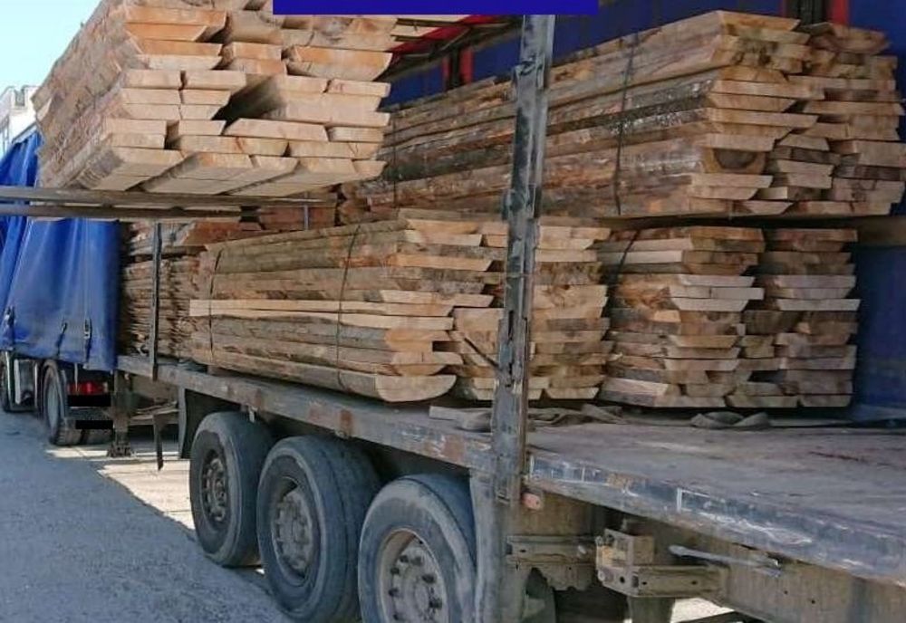 Prins transportând zeci de metri cubi de cherestea fără acte