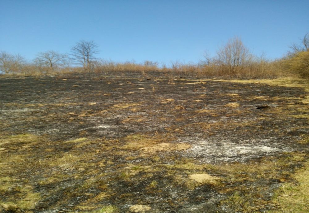 Alte șase incendii de vegetație uscată într-o zi. Au fost afectate peste 12 hectare