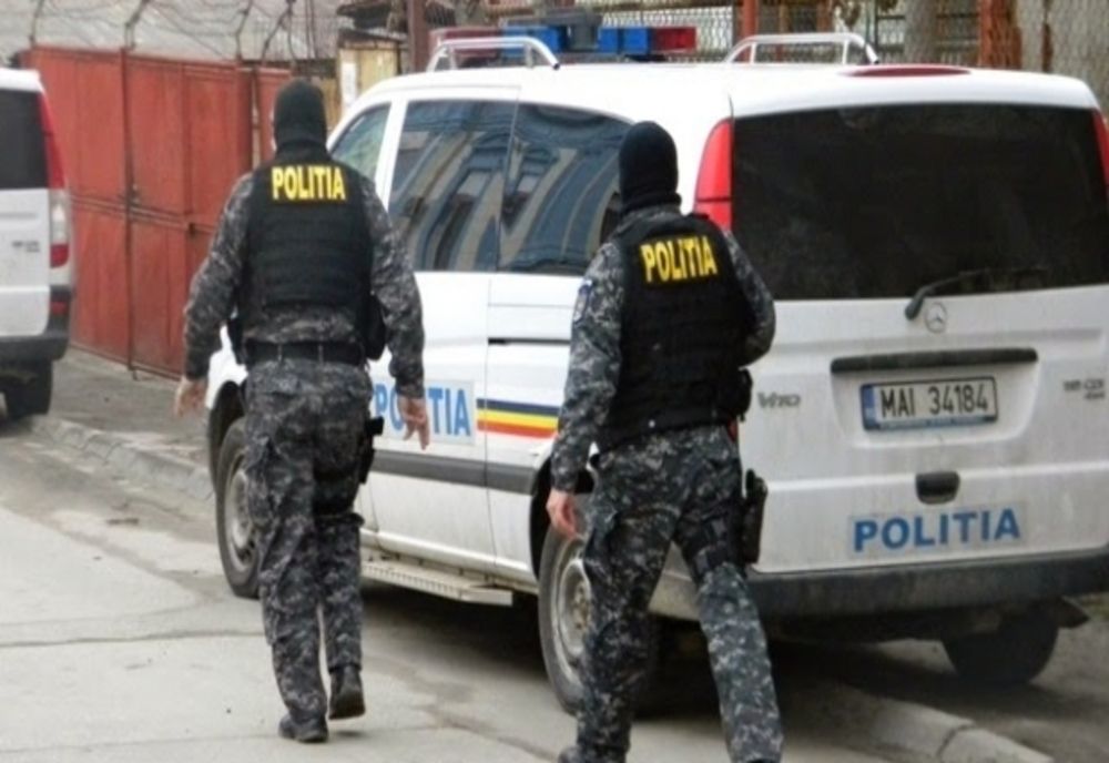11 percheziții în județele Harghita și Neamț! Prejudiciu de peste 570.000 de lei!