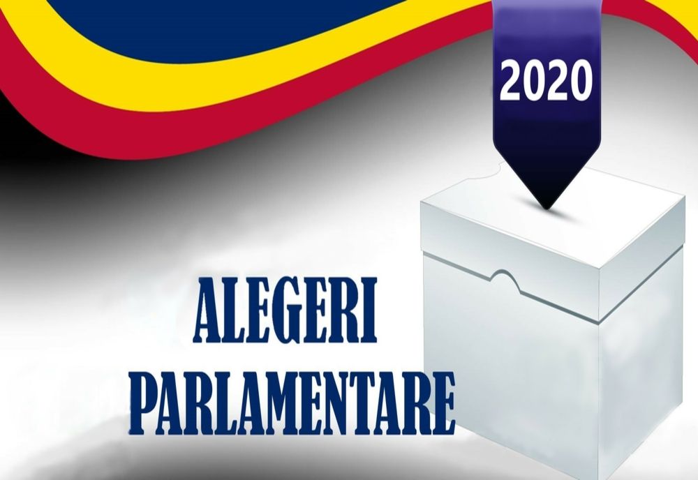 PSD a câștigat alegerile în județul Neamț