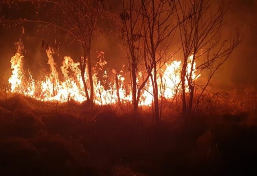 Misiune de stingere a unui incendiu produs la o locuință din localitatea Mărgineni  