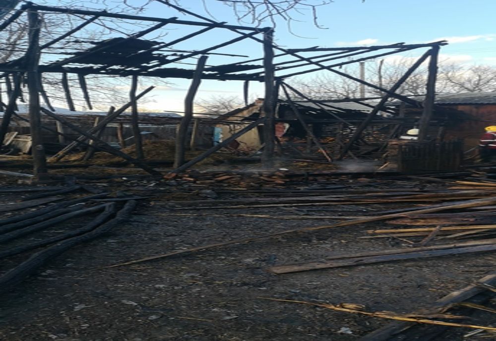 S-au jucat cu focul și au incendiat o fânărie