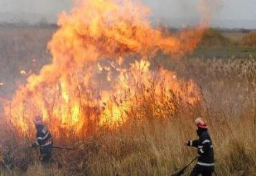 Opt hectare de vegetație, distruse de flăcări