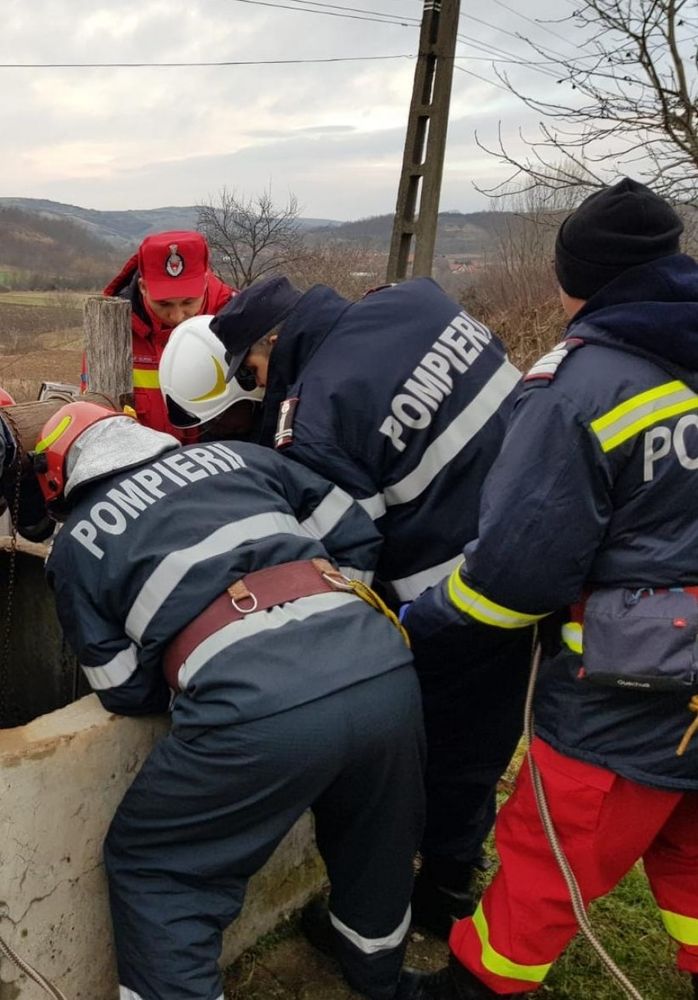 Bovină salvată de pompieri dintr-o fântână