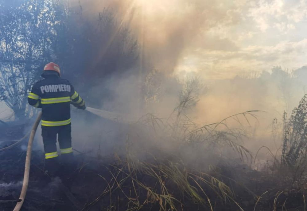 Incendiu de vegetație uscată în zona ANL