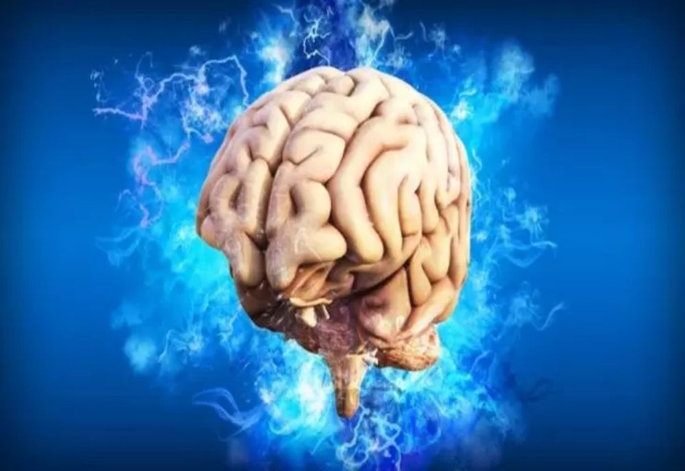 Cel mai bun aliment pentru sănătatea creierului: De ce îl recomandă neurologii