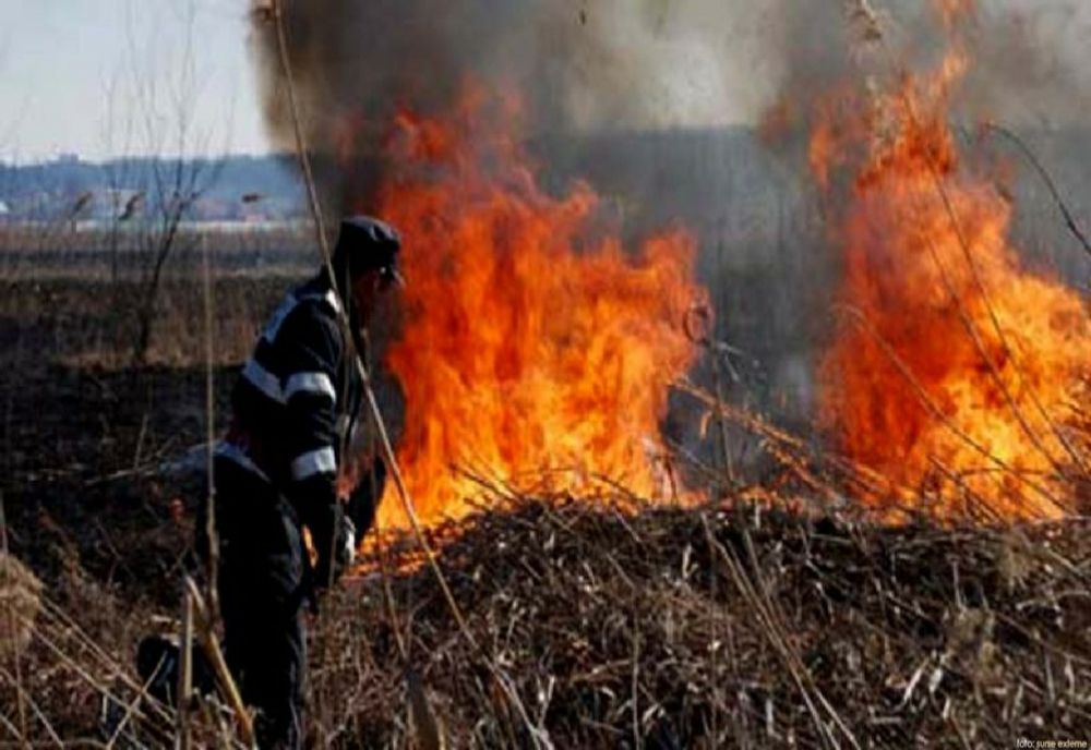Patru incendii de vegetație uscată, în Neamț