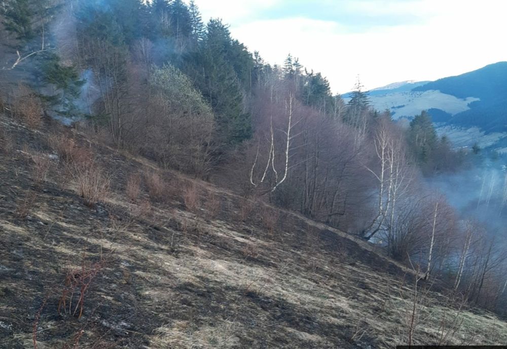 10 hectare de vegetație au ars la Borca