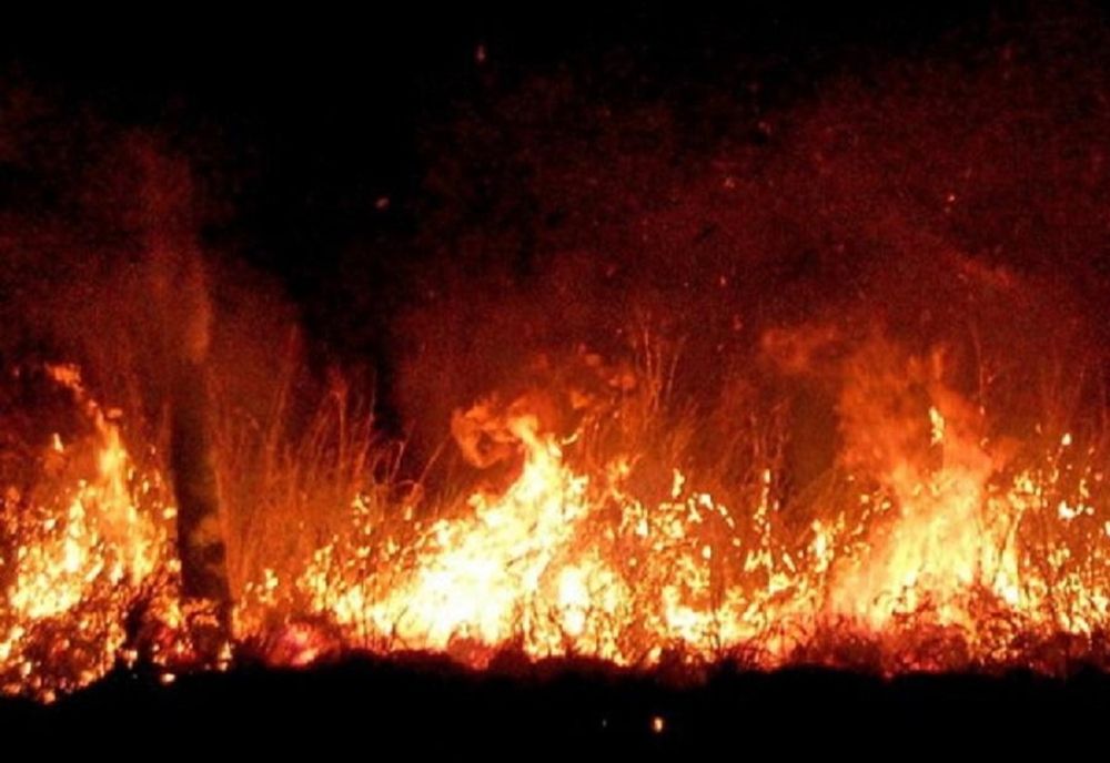 ALBANIA ȘI BULGARIA CER AJUTOR EUROPEAN PENTRU A FACE FAȚĂ INCENDIILOR DE VEGETAȚIE