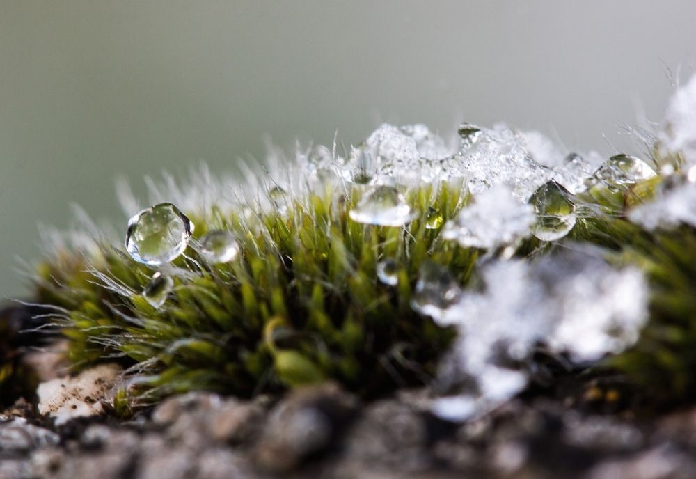 Vremea o ia razna în plină iarnă. Ce fenomen meteo urmează să ne creeze probleme în zilele următoare