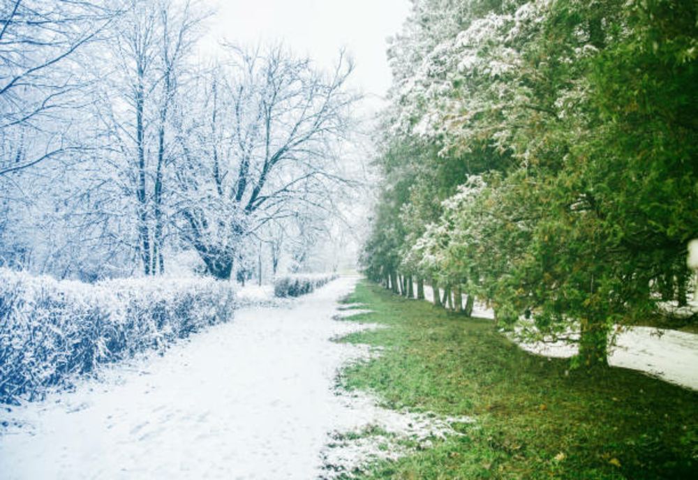 Prognoza meteo pe o lună