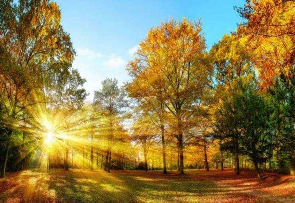 ANM: VREME PLĂCUTĂ ÎN URMĂTOARELE DOUĂ SĂPTĂMÂNI, CU TEMPERATURI DE PÂNĂ LA 26 DE GRADE