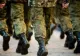  Când va decide Germania dacă introduce sau nu serviciul militar obligatoriu