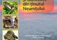 Expoziția temporară “Rarităţi floristice şi faunistice din ţinutul Neamţului“
