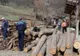 Firmă din Bicaz, amendată cu 5.000 pentru 10 m.c. de lemn fără acte