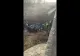 Poliţia nemțeană a îmbrăcat haine festive (FOTO-VIDEO)