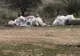 Peste 350 de copii au fost ”jandarmi pentru o zi” la Ziua Porților Deschise (FOTO)