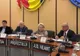 Soluții pentru românii din diaspora la Comisia pentru Incluziune Socială Neamț