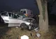 A adormit la volan și a intrat cu mașina într-un copac