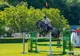 „Sărbătoarea de Toamnă a Sportului Ecvestru Nemţean”, 21-22 septembrie în Baza Hipică din Piatra-Neamț