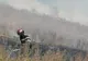 Sezonul incendiilor de vegetație uscată. Recomandările pompierilor