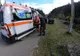 Turistă atacată de un roi de albine sălbatice în Masivul Ceahlău
