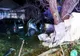 Autoarea accidentului cu victime multiple era beată
