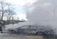 40 de păsări arse de vii într-un portbagaj (FOTO)