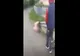 Scene șocante în plină zi în Roznov: un tânăr dezbrăcat umilește și bate alți doi minori (VIDEO)