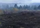 Peste 60 de hectare de pășune și pădure arse într-un incendiu la Borca