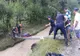 Neamț: Femeie de 89 de ani evacutată de pompieri după ce locuința i-a fost distrusă de copaci